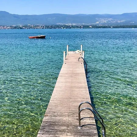 Willa Avec Acces Lac Et Ponton Nernier